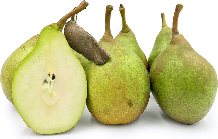 Nouveau Poiteau Pears picture