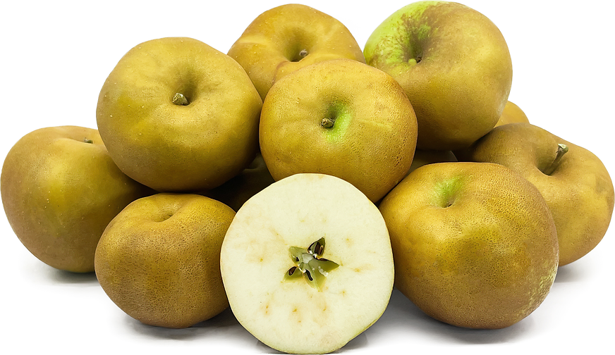 Pinner Seedling Apples picture