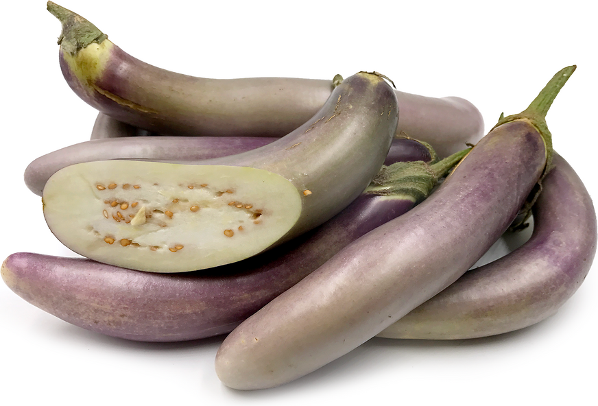 Japanese Cream Eggplant picture
