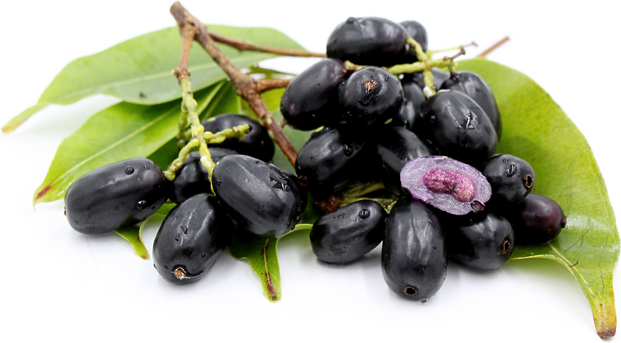 Image result for jamun