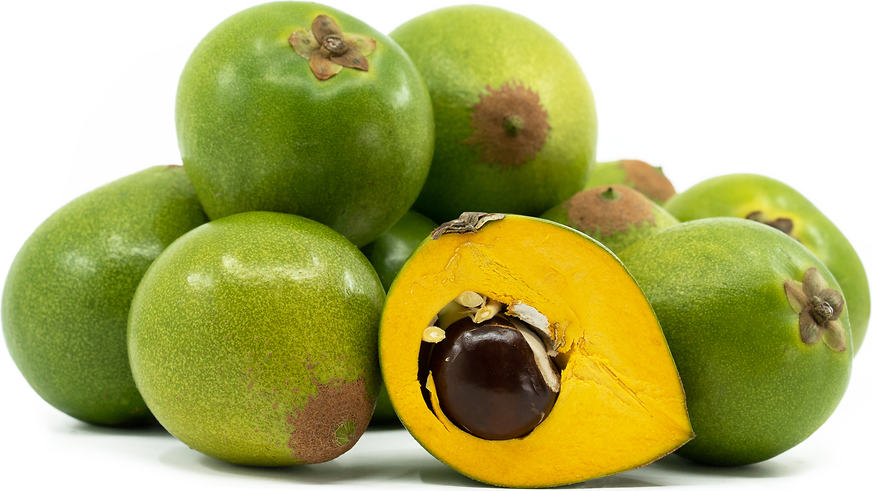 Lucuma picture