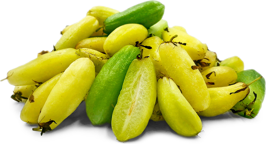 Bilimbi Fruit Information and Facts