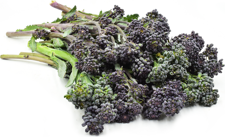 Purple Broccolini picture