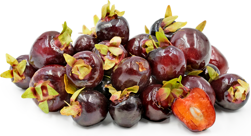 Cherry of the Rio Grande Berries picture