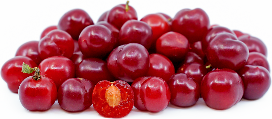 Nanking Cherries picture