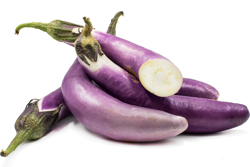 Chinese Eggplant picture