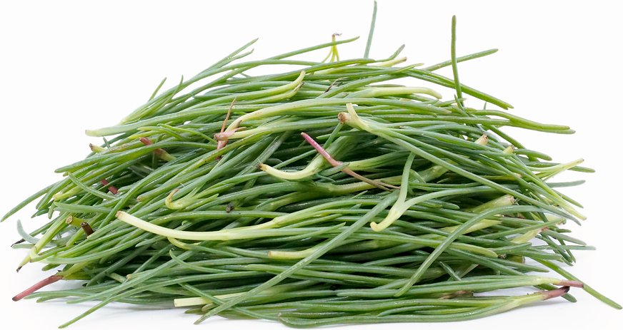 Italian Agretti picture