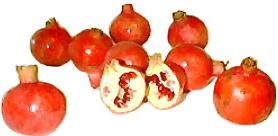 Lady Pomegranates picture