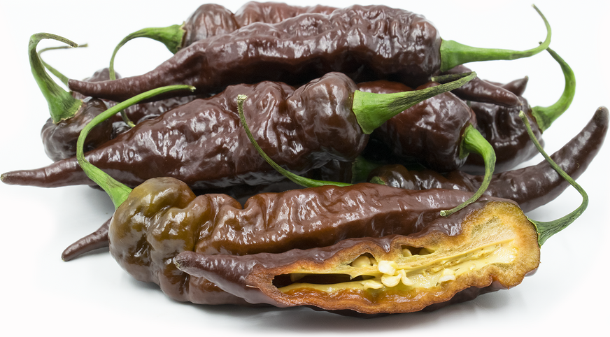 Chocolate Ghost Chile Pepper picture