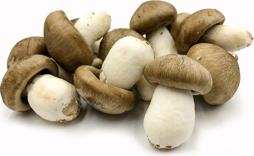 Japanese Mushrooms picture