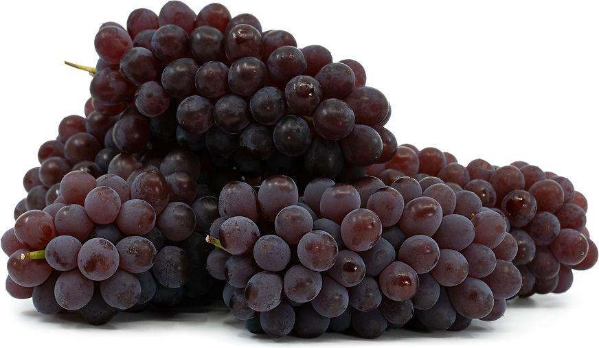 Delaware Grapes picture