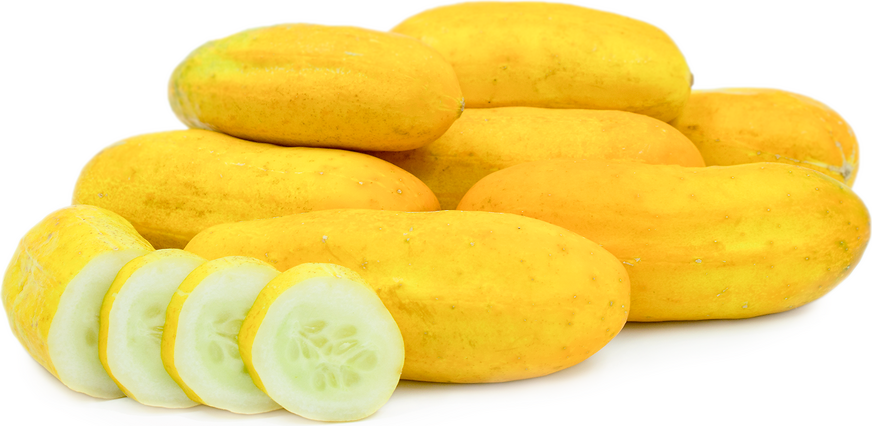 Chinese Yellow Cucumbers picture
