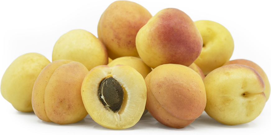 Afghanistan Apricots picture