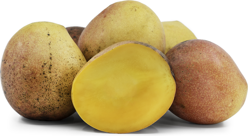 Bailey's Marvel Mangoes picture