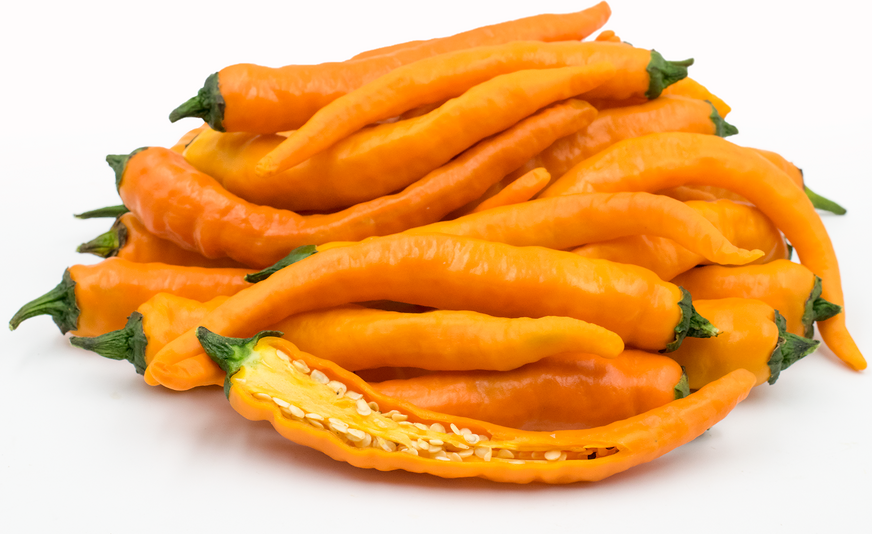 Orange Cayenne Chile Peppers Information and Facts