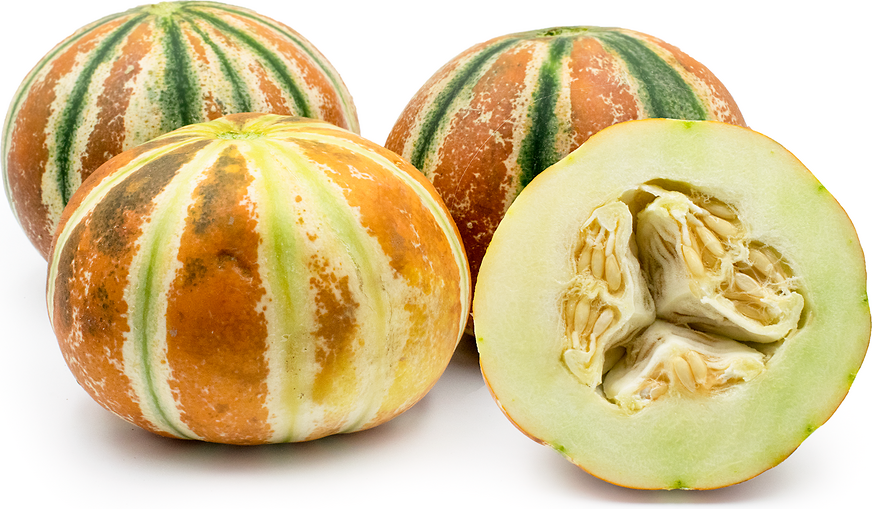 Kajari Melons picture