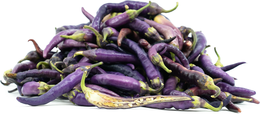 Purple Cayenne Chile Pepper picture