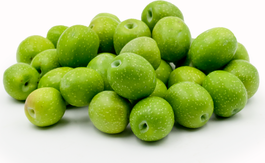 Cerignola Olives Information and Facts