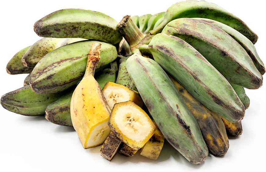 Saba Bananas picture