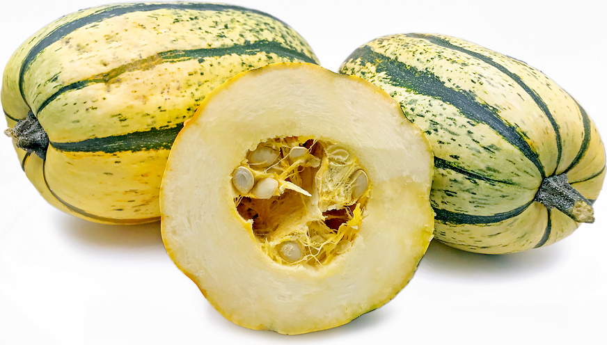 Green Striped Squash