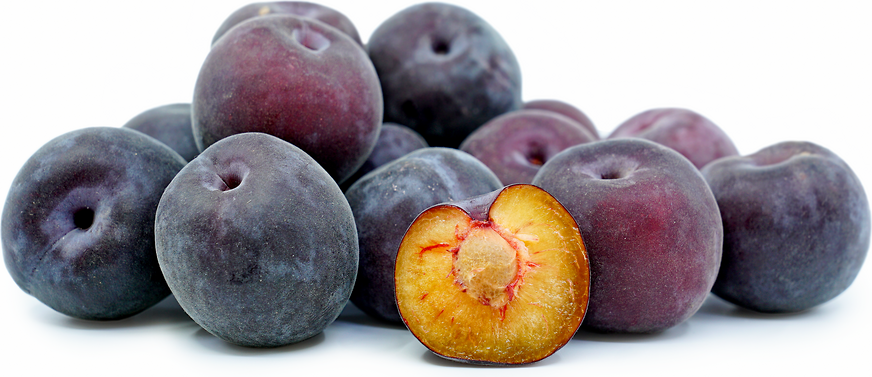 Blue Velvet™  Apricots picture