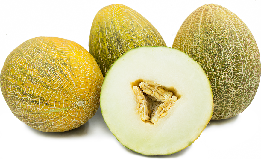 Cocha Melon picture