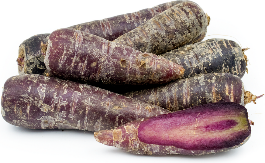 Purple Chantenay Carrots picture