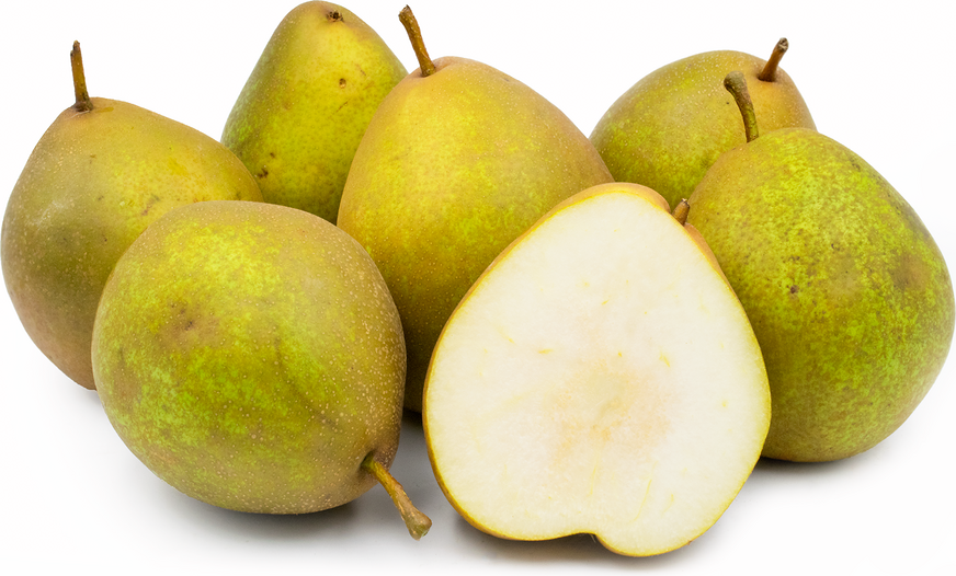 Buerre Brown Pears Information, Recipes and Facts