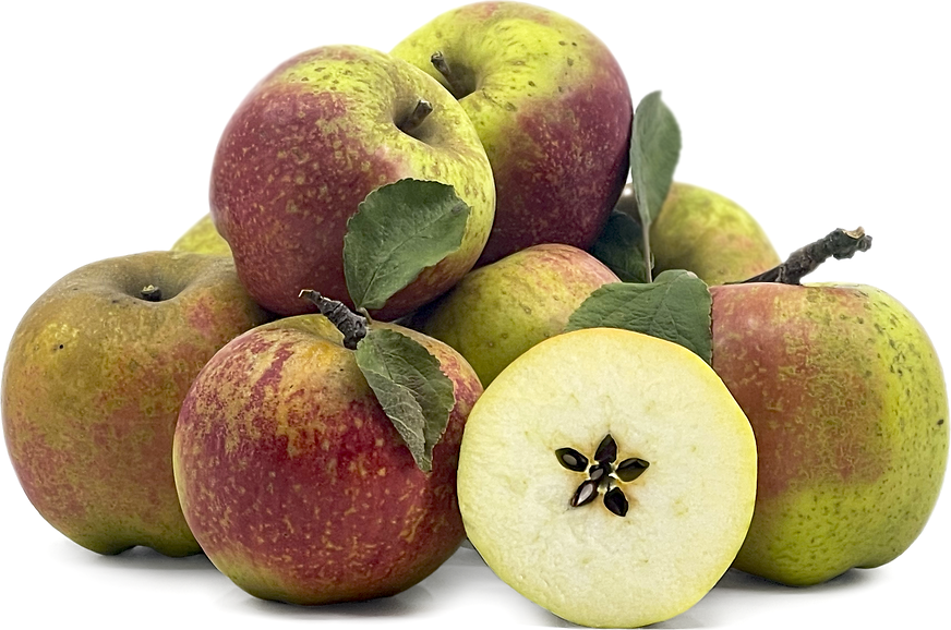 Cornish Aromatic Apples picture