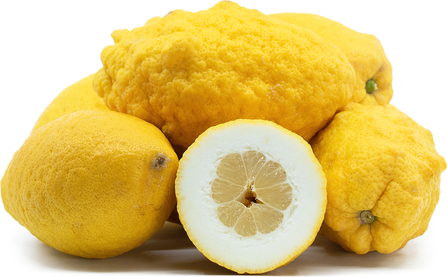 Cedro Citrons Information and Facts