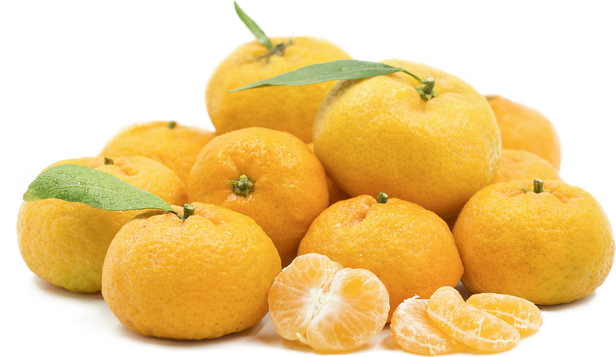 Kishu Tangerines picture