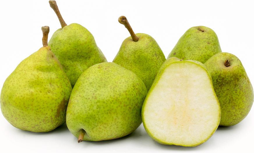 Duchesse d'Angouleme Pears picture