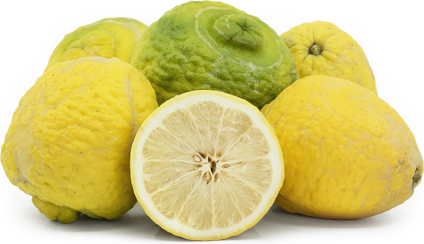 Ponderosa lemon picture