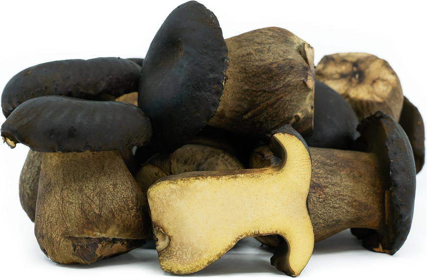 Black Bolete Mushrooms picture