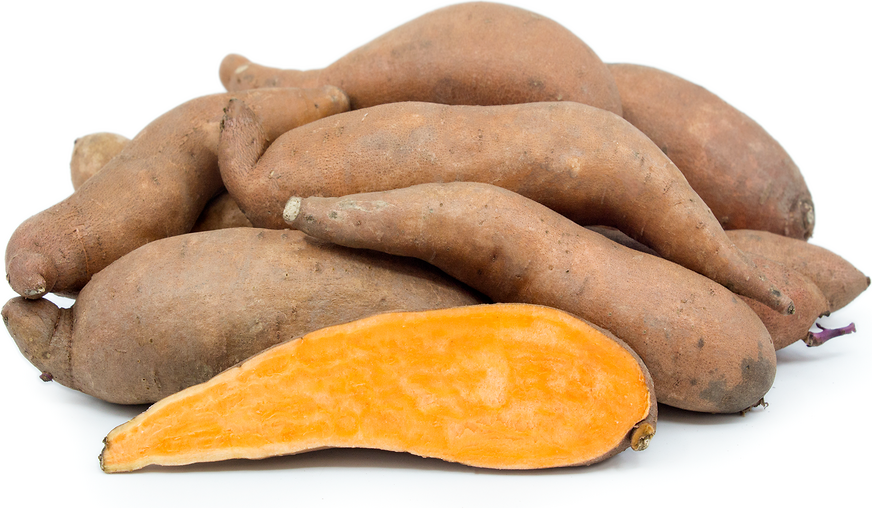Covington Sweet Potatoes Information and Facts