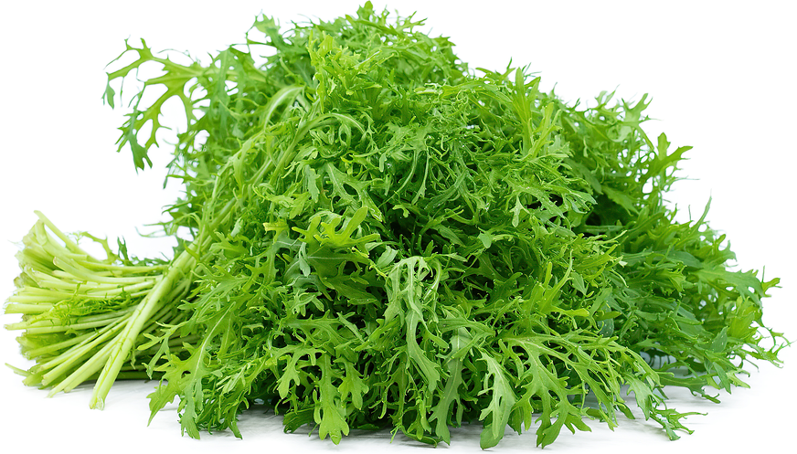Green Frill Mustard Greens picture