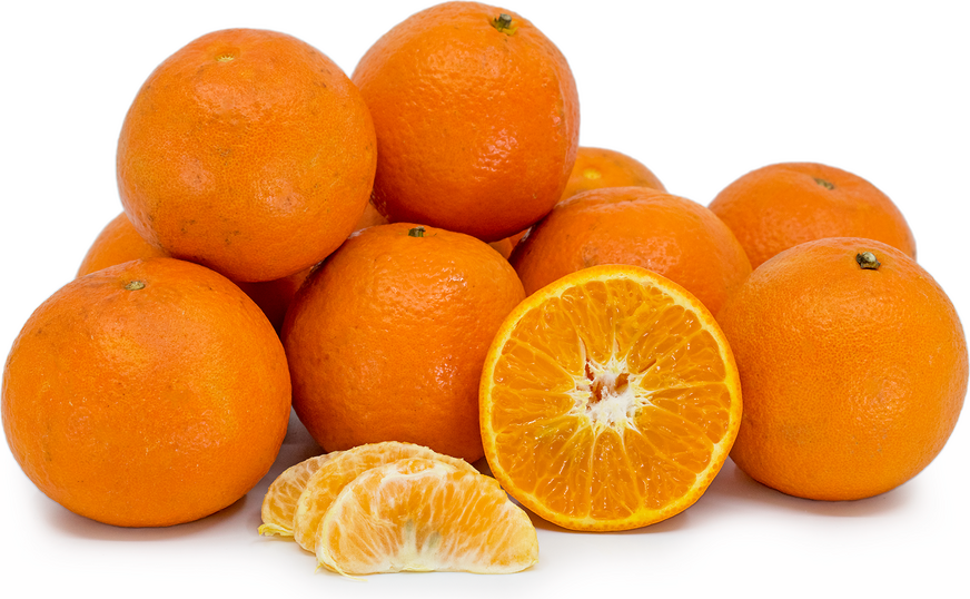 Fairchild Tangerines picture