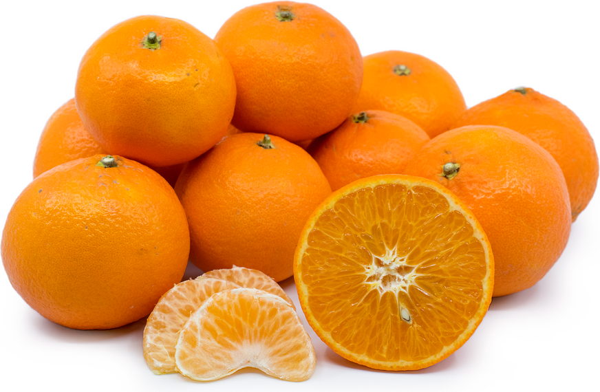 Fortune Tangerines picture