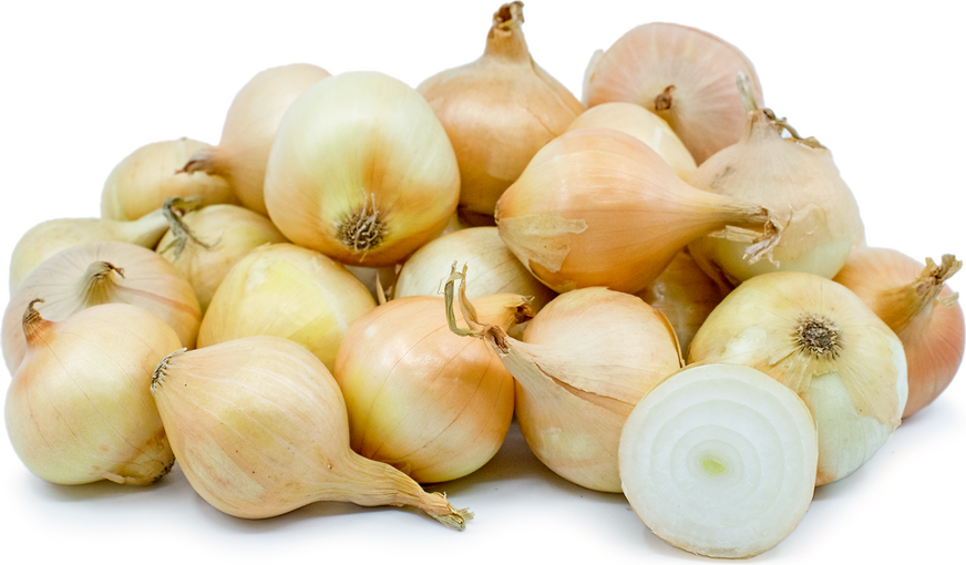 Yellow Boiling Onions picture