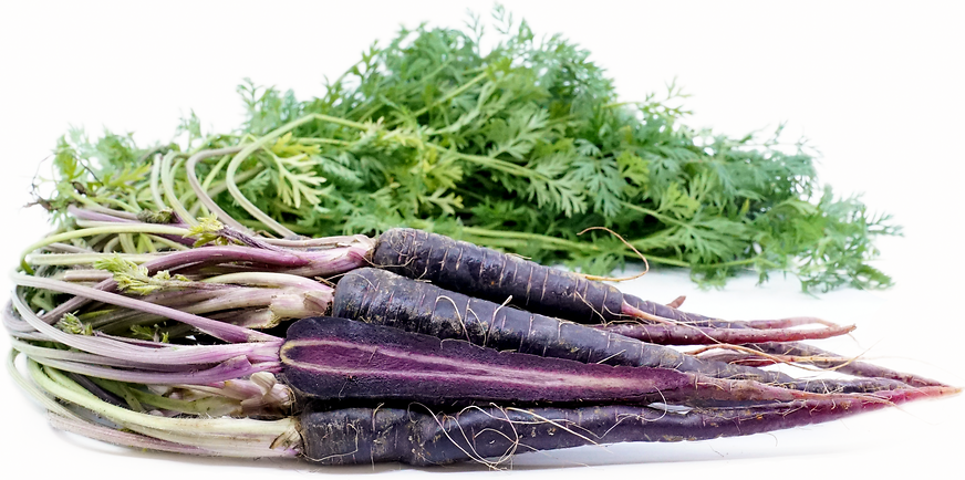 Purple Cosmic Carrots picture