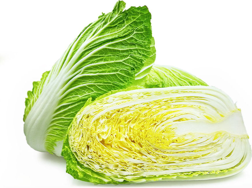 Hakusai Cabbage picture