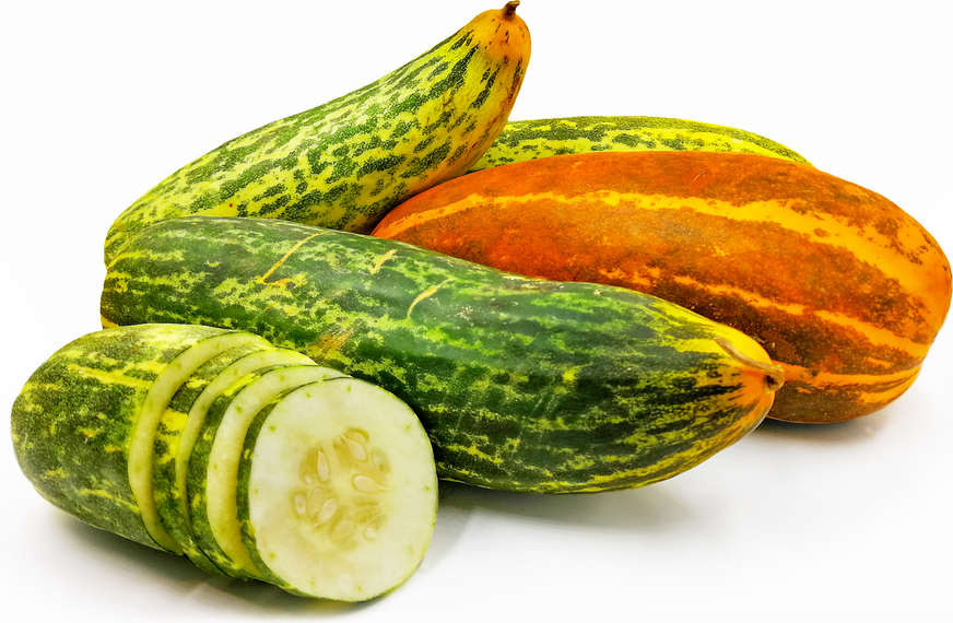 Malabar Cucumbers picture