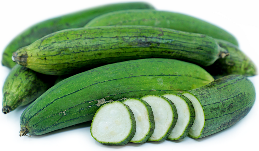 Smooth Sponge Gourd picture