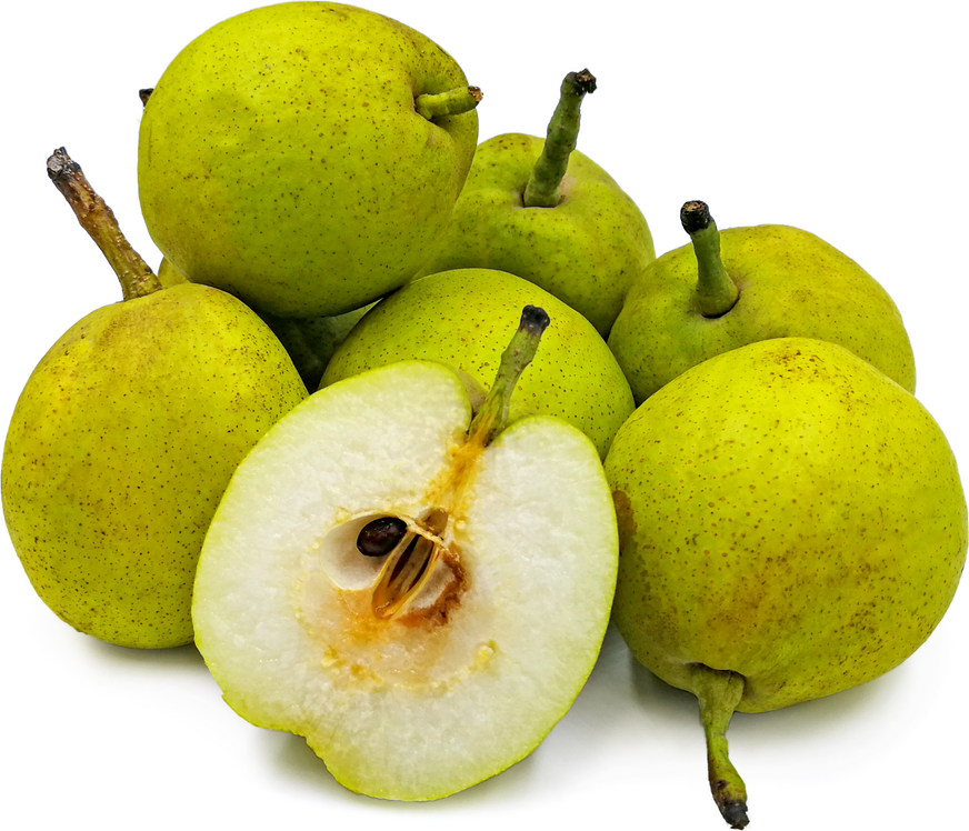 Baugosha Pears picture