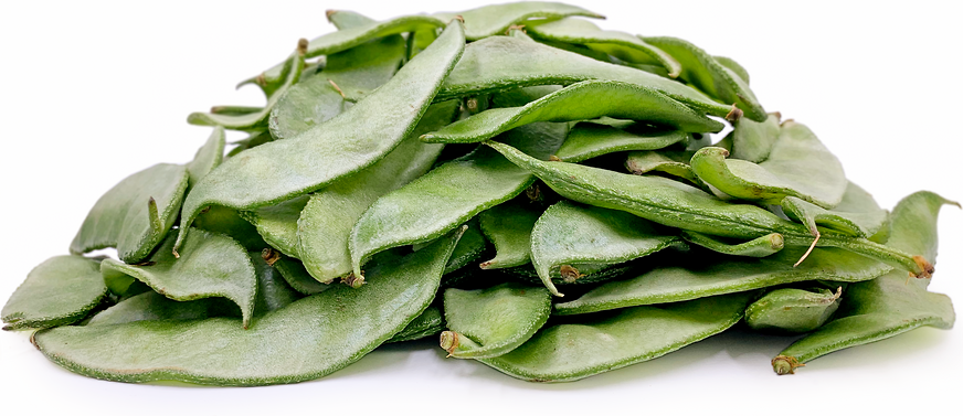 Indian Broad Beans picture