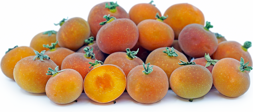 Tropical Apricot Berries picture