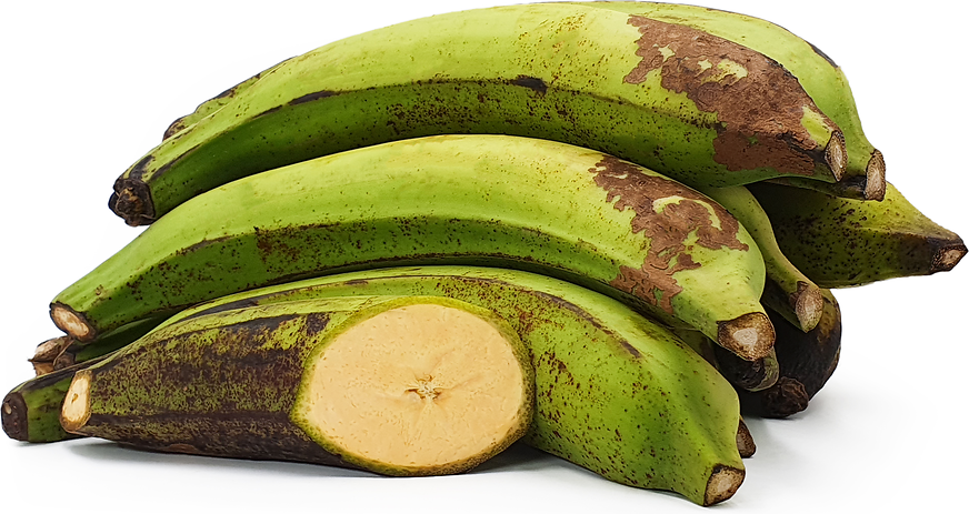 Pisang Tanduk Bananas picture