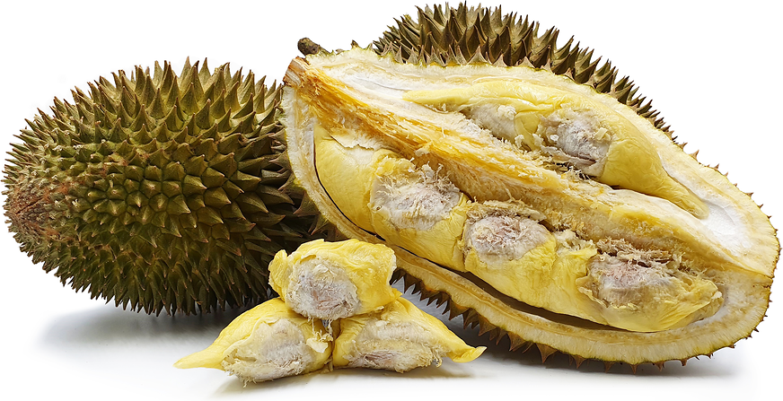 Durian Tembaga