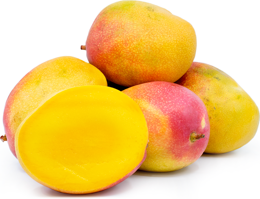 Haden Mangoes picture