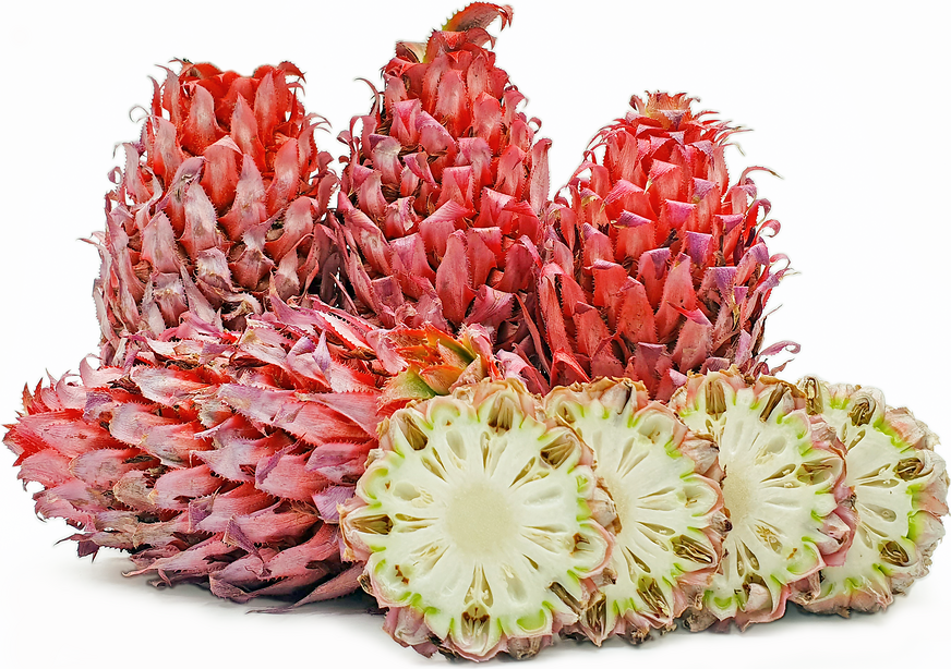 Brazilian Red Pineapples picture